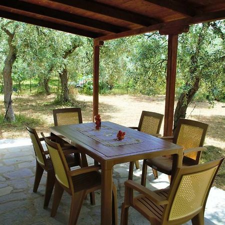 Ktima Elia Villa Skala Sotiros Bagian luar foto