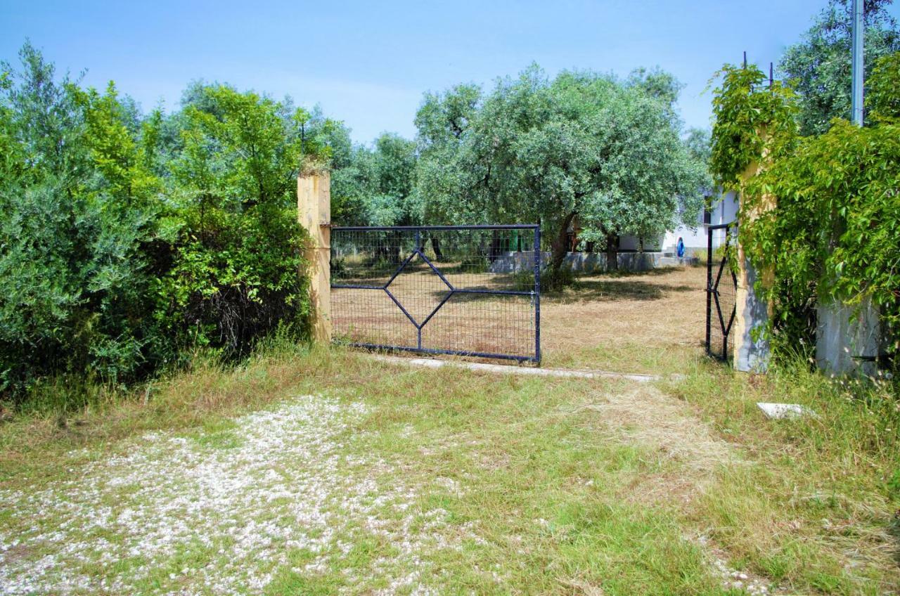 Ktima Elia Villa Skala Sotiros Bagian luar foto